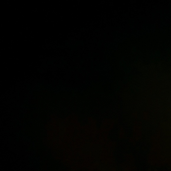 Meet your Posher, Daved - Picture 1 of 1